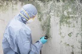 Best Mold Removal for HVAC Installations  in Ofallon, IL